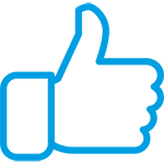 Max Protection Icon